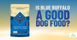Blue Buffalo Dog Food Reviews