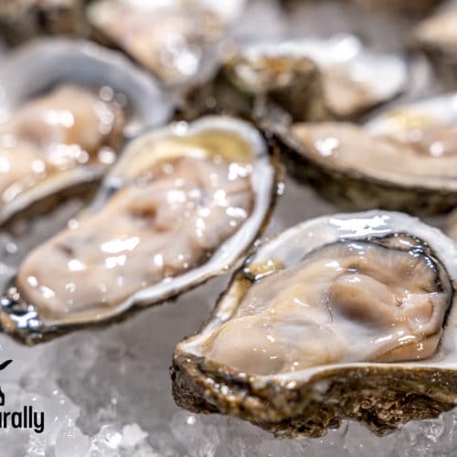 Chicken And Oyster Adult Dog Food Recipe