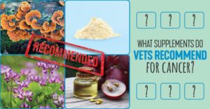 dog cancer supplements
