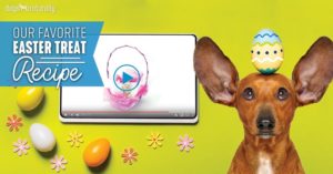 treat recipe for dogs